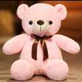 70CM Teddy Bear for Girls Soft Stuffed Lovable Hugable Non-Toxic Fabric Cute Teddy Bear for Birthday / Anniversary / Valentine / Gift Teddy Bear. 