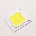 【Topnotch Store】10W 20W 30W 50W Real Watt + COB LED Lamp Lampada LED Floodlight Spot lights IP67 85-265V 110V 220V light bulb. 