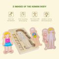 WOODEN FUN Human Body Puzzles for Kids 3-5,Wooden Montessori Anatomy Play Set, Human Body Model Puzzle for Preschoolers and Kids Ages 3+ (Girls)36 pcs. 