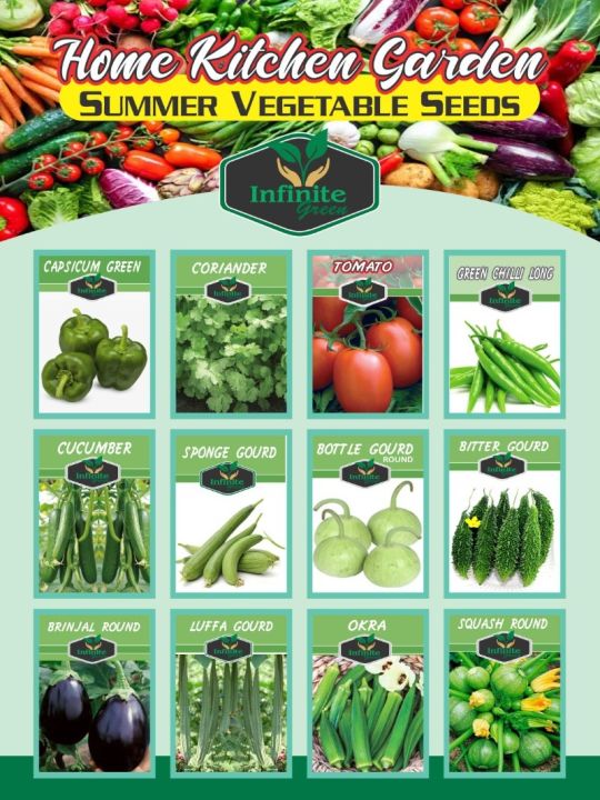 Pack of 12 Summer Vegetables seeds with Free Gift