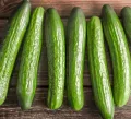 "Apnaugao Heirloom Cucumber Seeds Collection: Packets of 6  Featuring White Wonder, Marketer, Cornichon de Paris, Alficoz, Ashley, and Kheera Varieties for a Diverse Harvest. 