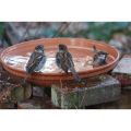 clay pots Water Drinker for Birds Love bird Parrots. 