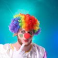 1pcs Crazy Clown Clown Clown Fancy Dress Clown Hair Clown Afro Circus Costume Nose. 