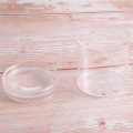 1Set Insect Magnifying Glass Insect Feeding Box Teaching Instrument Natural Observation Tube. 