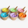 Plastic Ice Cream Bowls with Matching Spoons Set in Assorted Colors- 1 Set. 