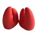 【shengxiong6525】1Pc Resistant Gloves Crab Claw Anti-slip Pot Bowel Holder Clip Cooking Baking Oven Mitts Supplies. 