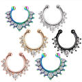 Stainless Steel Nose Ring Unisex Non Piercing Adjustable Fit Nose Hoop Clip On Nose Horseshoe Design Ring Non Piercing Nose. 