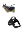 k9 Harness / Chest Strap - Small - For your Puppies and Dogs. 