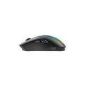 Boost Raptor RGB Wireless Gaming Mouse. 