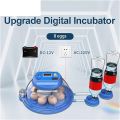 8 Eggs Intelligent Round Full Automatic Incubator Dual Supply AC-DC. 