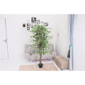 Imported artificial Ficus tree with black Planter. 