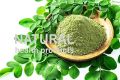 Moringa Leaves Powder 200gram. 
