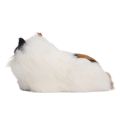 Simulation Plush Cat Doll, Artificial Hair Opening Eyes Colorful Lifelike Simulation Cat Toy for Home Decoration. 