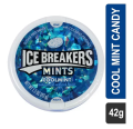 ICE Breakers Mints Coolmint Sugar Free 42g (Imported). 