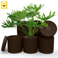 🌿 Fast Forward 6-Inch Plastic Planter Pots – Cylindrical Stylish, Durable & Plant-Friendly with Drainage & Seamless Saucers!. 