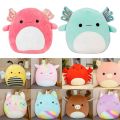 20cm Squishmallows Cute Stuffed Toys Plushie Doll Squishmallows plush Toy Gordon Benny Malcolm Archie Avery pillow crochet plushie. 