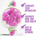 Milk Thistle Seeds 100 grams. 