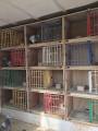 Bird Cage Grill, Widowhood Grill, Plastic Front Grill, Front Grill Door (32*16)inches size. 