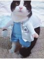 Pet Halloween Costume Funny Dog Cat Doctor Costume Pet Doctor Clothing Funny Cosplay Clothes Dress Apparel Outfit Uniform Manner. 