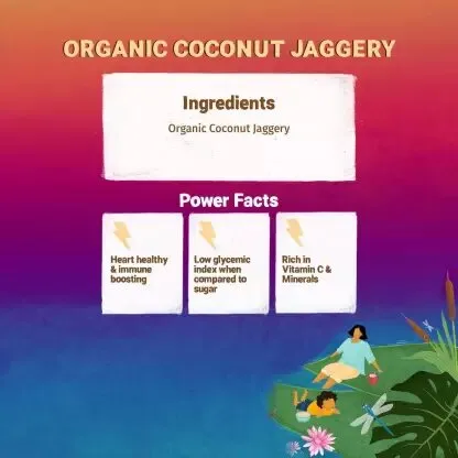 Organic%20Coconut%20Jaggery%20Powder%20Jaggery%20%20(300%20g)%20-%20Image%202