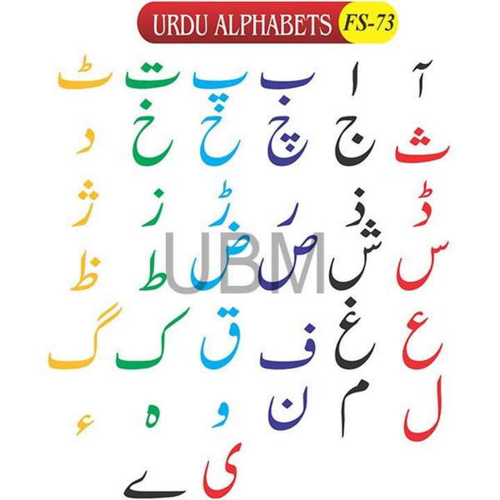 Urdu Alphabets Block Fs-73 Wood Blocks