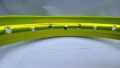 Honda Cg 125 Rear Rim colored. 