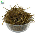 Amar Bail 250gm امربیل - Cuscuta - Afteemo  / Akash Bael آکاش بیل / Amarbel / Akas Bell / Bel / Aftimo - 100% Original and Pure 250 grams By Herbisol. 