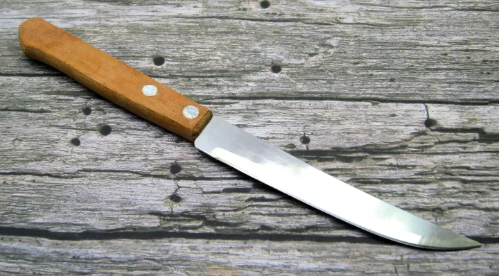 Kitchen%20Knife%20Stainless%20Steel%20Erogonomic%20Multi-Layered%20Wooden%20Handle%20Fruit%20Vegetable%20Peeling%20Knife%20All%20Purpose%20Knife%20High%20End%20Quality%20Utility%20Knife%20Super%20Sharp%20Multi%20Function%20-%20Image%205