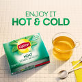 Lipton Herbal Infusion - Mint Tea - 20 Envelope Teabags. 