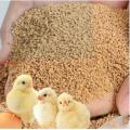 Poultry feed for chicks zero size (0 number) for chicks, quails and ducklings - (chuzzon ki feed ) - 1 KG. 
