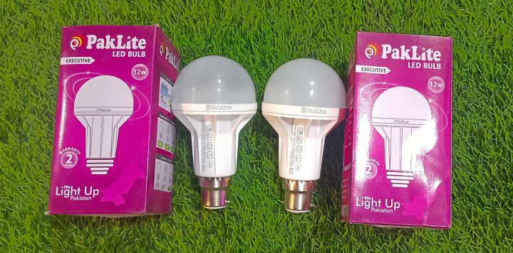 PakLite 12 Watt Led Bulb B-22 2 Years Seller Warranty