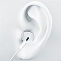Type C In Ear Handsfree with Mic and Noise Cancellation for iPhone 15 Samsung Pixel. 