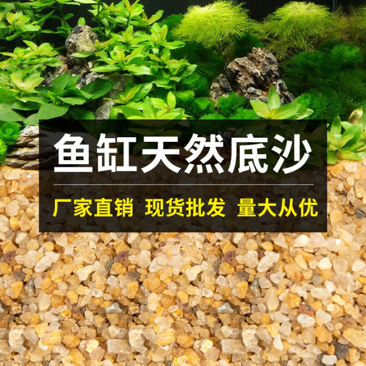 Fish%20tank%20bottom%20sand%20landscaping%20sand%20aquarium%20grass%20tank%20shrimp%20tank%20river%20sand%20sand%20bottom%20sand%20small%20stone%20paving%20bottom%20stone%20colored%20stone%20turtle%20sand%20-%20Image%204