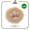Fresh Desi Eggs. 