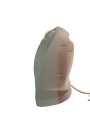 sinbo fan heater blower. 