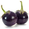 F-1 Hybrid Brinjal gool begun seeds kitchen gardening. 