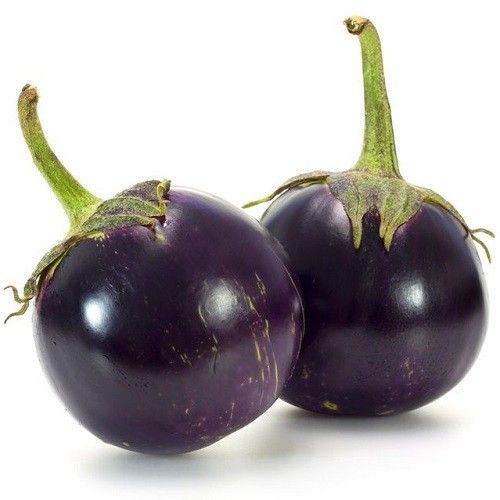 F-1 Hybrid Brinjal gool begun seeds kitchen gardening