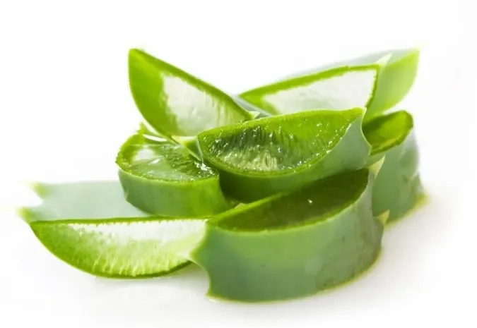 Fresh%20Aloe%20Vera%20Plant%20in%20small%20pot%20-%20Image%204