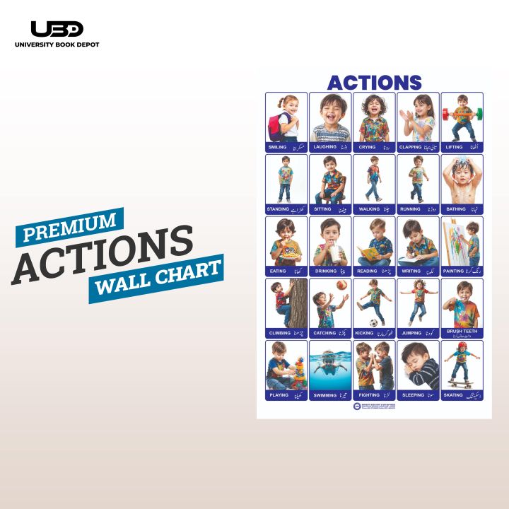Action Words Wall Chart | HD picture Presentation on 210 gram Laminated ...