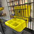 Parinda Bird Non Bite able Slider , Bird Feeder, Feed Pot, Parrots, Lovebirds, Cockatiel, Ring Neck , Raw (Pack of 2). 