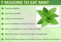 Organic Dry Mint Powder for 200 GM. 