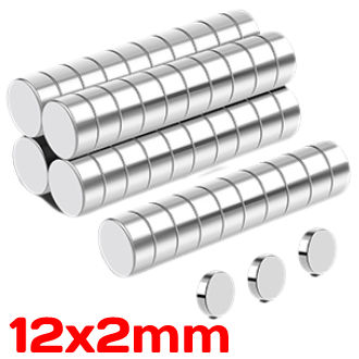 10pcs 12X2 Circular Super Strong NdFeB Magnet available in Pakistan
