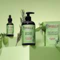 Mielle Shampoo - Mielle Organics Rosemary Mint Strengthening Shampoo - Mielle Rosemary Mint shampoo. 
