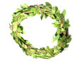 Gardening Round Decorations Flower Pot Wire. 