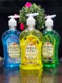 Bliss Aloe Vera & Neem Handwash - 500ml Pump Bottle. 