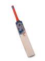 CA Plus 2000 Hard Ball Cricket Bat. 