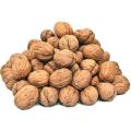 Akhrot Sabut اخروٹ ثابت (Walnut Whole) - 100 Grams. 