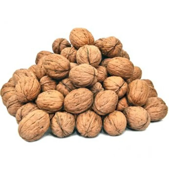 Akhrot%20Sabut%20%D8%A7%D8%AE%D8%B1%D9%88%D9%B9%20%D8%AB%D8%A7%D8%A8%D8%AA%20(Walnut%20Whole)%20-%20100%20Grams%20-%20Image%202