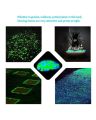 Glow In The Dark Stones Pebbles Aquarium Plants Fairy Mini Garden - Pack of 1. 