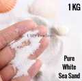 White Sand - Sea Sand - Best for Planted and Fresh Water Fish Tank - Terrarium Sand - DIY Epoxy Resin Beach Sand - 1 KG. 